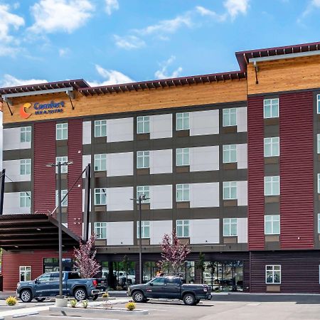 Comfort Inn & Suites Lakewood By Jblm Exteriér fotografie